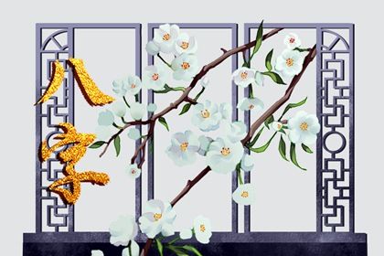 不同软件的喜用分歧