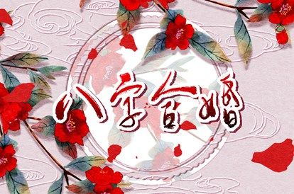 理想伴侣的消费观